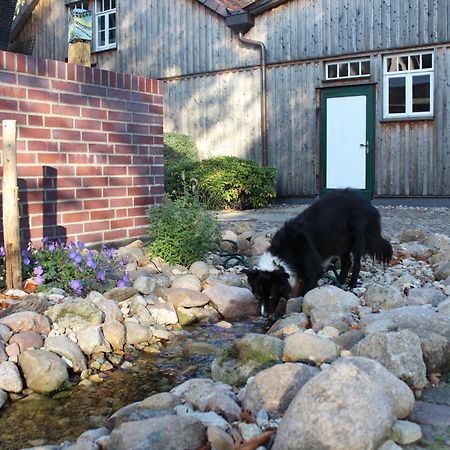 Landgasthof Wildwasser Wolthausen Luaran gambar