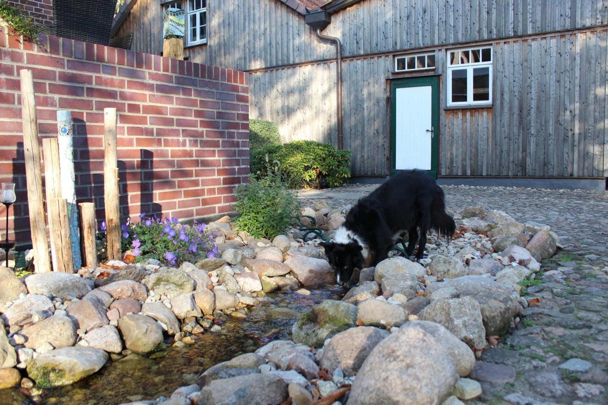 Landgasthof Wildwasser Wolthausen Luaran gambar